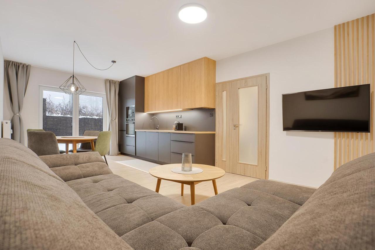 Krusnohorske Strane Apartment Loucna pod Klinovcem Exterior photo